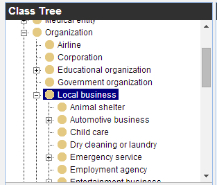 Editor JSON-LD Schema Generator LocalBusiness Store